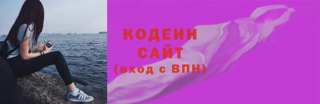 стаф Богданович