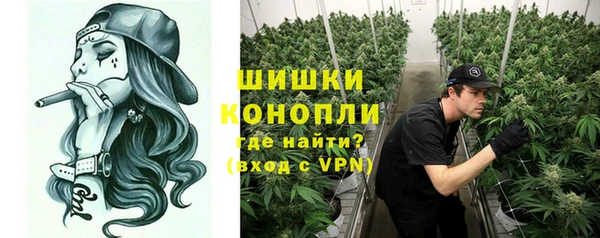 дурь Надым