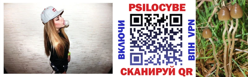 Псилоцибиновые грибы мицелий  Заполярный 