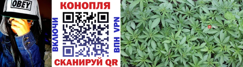 Конопля планчик  гидра как войти  Заполярный 